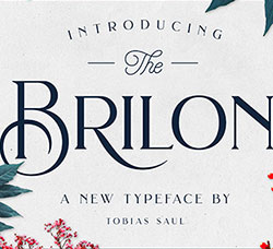 不错的布里隆英文字体：Brilon Font